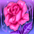 Rose Buddy Icon