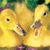 Two Duck Buddy Icon
