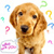 Dog Buddy Icon 164