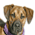 Dog Animated Icon 10