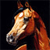 Horse Buddy Icon 228