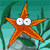 Starfish Icon 200