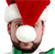 Christmas Shopper Icon