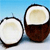 Coconut Icon 2