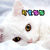 Cat Buddy Icon 331