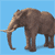 Elephant 10