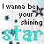 I Wanna Be Your Shining Star