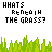 Whats Beneath The Grass Myspace Icon