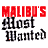 Malibu s Most Wanted 3