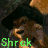 Shrek 17
