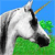 Unicorn 21
