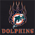 Miami Dolphins 2