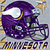 Minnesota Vikings 6