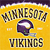 Minnesota Vikings 8