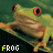 Frog 20