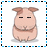 Pig Buddy Icon