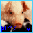 Pimp Pig