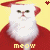 Meow Icon