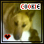 Cookie Dog 22