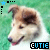 Cutie Dog 20