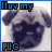 I love Pug