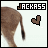 Jackass Donkey