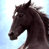 Dark horse 2