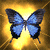 Butterfly Buddy Icon 23