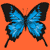 Butterfly Buddy Icon 16