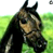 Dark horse 4