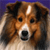 Dog Buddy Icon 58
