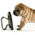 Dog Buddy Icon 124