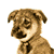 Dog Animated Icon 11