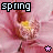 Spring Buddy Icon 3