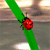 Ladybird Icon 6