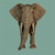 Elephant Buddy Icon 200