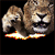 Lion Buddy Icon 202