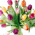 Spring Flowers Icon 8