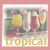 Tropical Cocktail Icon