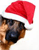Santa Is Coming Icon