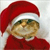 Merry Christmas Icon 12