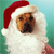Merry Christmas Icon 14