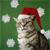 Merry Christmas Icon 15