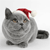 Merry Christmas Icon 10