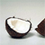 Coconut Icon