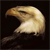 Eagle Buddy Icon