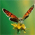 Butterfly Buddy Icon 33