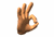 Hand Buddy Icon