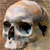 Skull Buddy Icon 9