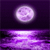 Moon Icon 8